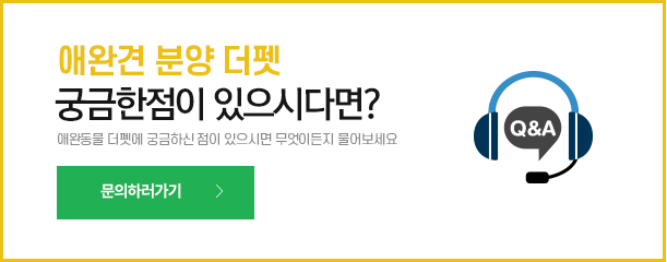 이미지명