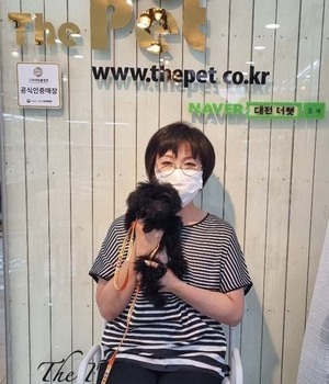 푸들 분양후기[22.6.11]
