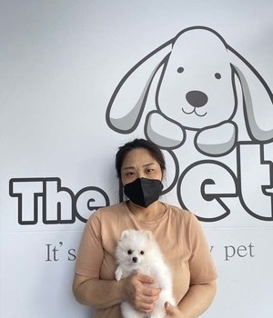포메라니안 분양후기/중리점[22.6.11]