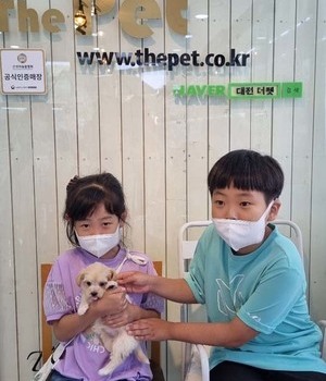 말티푸 분양후기[22.7.2]