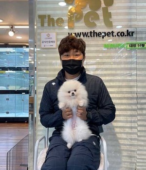 포메라니안 분양후기 [22.10.3]