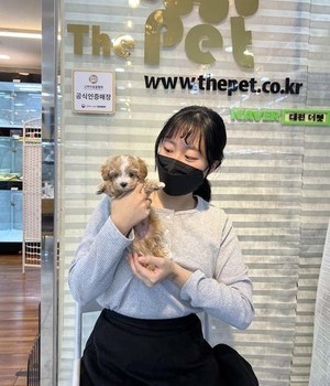 말티푸 분양후기 [22.10.15]