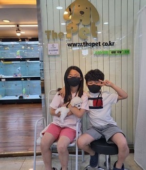 비숑프리제 분양후기[22.5.28]