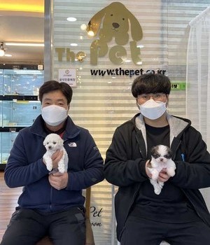 시츄 분양후기 [22.11.6]