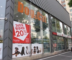 더펫 매장 사진