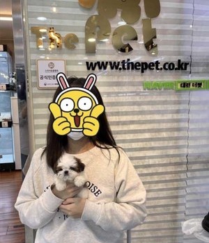 시츄 분양후기 [22.9.23]