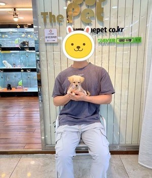말티푸 분양후기[22.5.29]