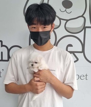 말티즈 분양후기/중리점[22.5.23]