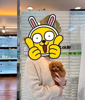 푸들 분양후기 [22.10.20]
