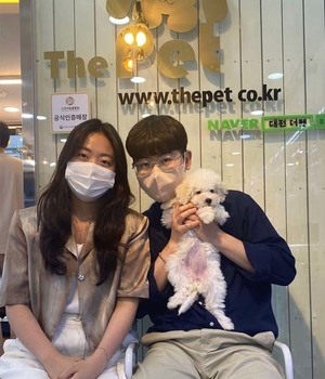 푸들 분양후기[22.6.6]