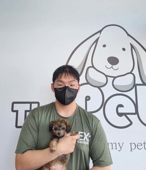 푸들 분양후기/중리점[22.6.1]