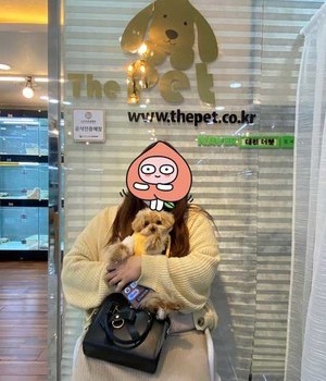 말티푸 분양후기 [22.11.1]