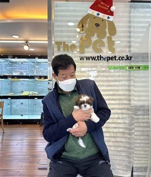 시츄 분양후기 [22.12.17]