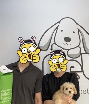 푸들 분양후기/중리점 [22.7.22]