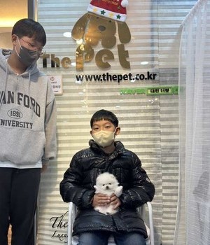 포메라니안 분양후기 [22.12.25]