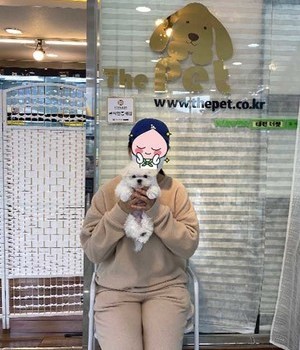 말티즈 분양후기 [22.11.20]