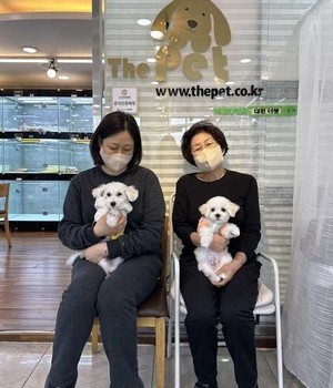 비숑프리제 분양후기 [22.12.7]