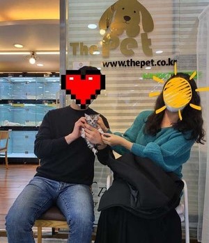아메리칸숏헤어 분양후기 [22.10.29]
