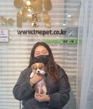 웰시코기 분양후기 [22.10.26]