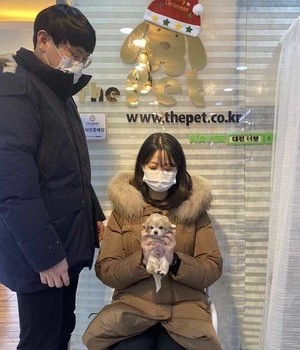 말티즈 분양후기 [22.12.24]