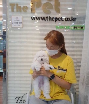  비숑프리제 분양후기 [22.8.23]