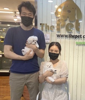 말티즈, 포메라니안 분양후기[22.5.25]
