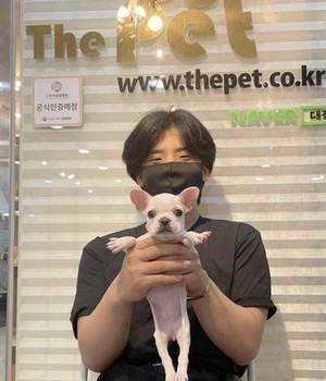 프렌치불독 분양후기 [22.9.12]