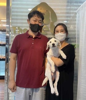 래브라도리트리버 분양후기 [22.9.3]