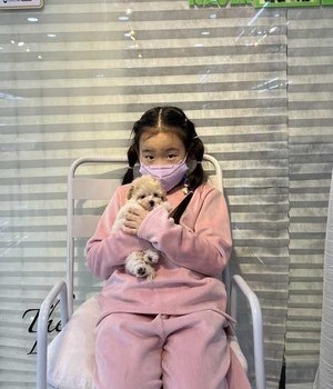 말티푸 분양후기 [22.12.24]
