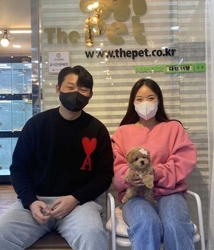 푸들 분양후기 [22.11.26]