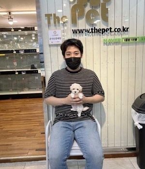 비숑프리제 분양후기[22.6.29]