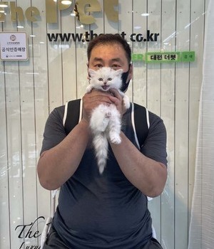 페르시안 분양후기[22.6.5]