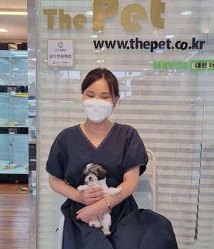 푸들 분양후기 [22.7.30]