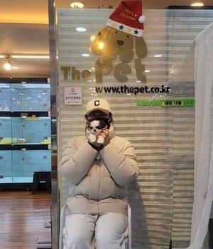 시츄 분양후기 [22.12.17]