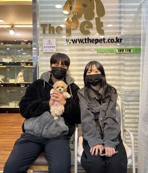 말티푸 분양후기 [22.11.3]