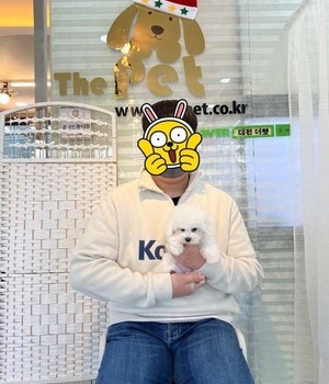 비숑프리제 분양후기 [22.12.28]