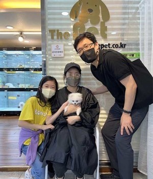 포메라니안 분양후기 [22.8.28]