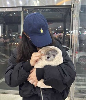 푸들 분양후기 [22.12.3]