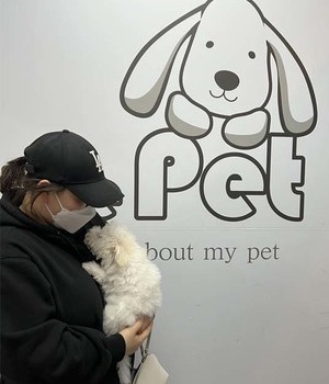 비숑프리제 분양후기/중리점 [22.11.26]