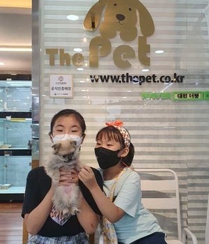 폼치 분양후기 [22.8.14]