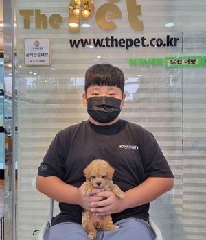 푸들 분양후기 [22.9.25]