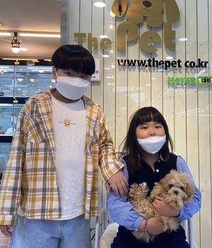 말티푸 분양후기[22.6.5]