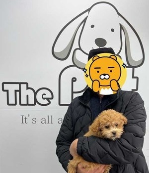 말티푸 분양후기/중리점 [22.12.15]