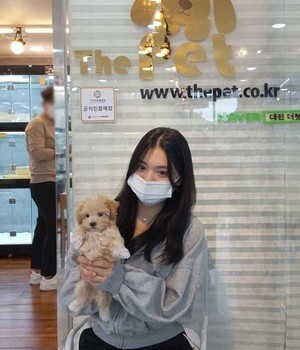 말티푸 분양후기 [22.9.12]