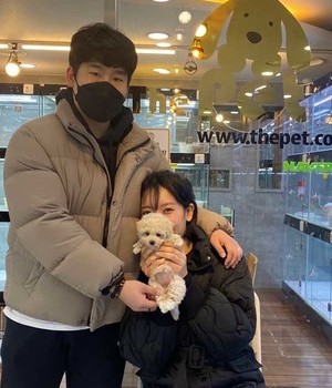푸숑 분양후기 [23.03.01]