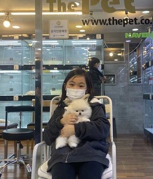포메라니안 분양후기 [23.02.25]