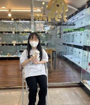말티푸 분양후기 [23.06.03]