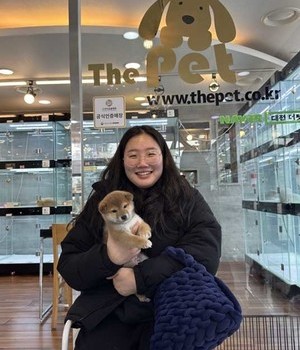 시바이누 분양후기 [23.03.01]