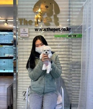 말티즈 분양후기 [23.01.13]