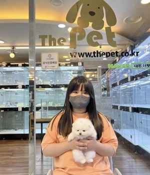 포메라니안 분양후기 [23.04.23]